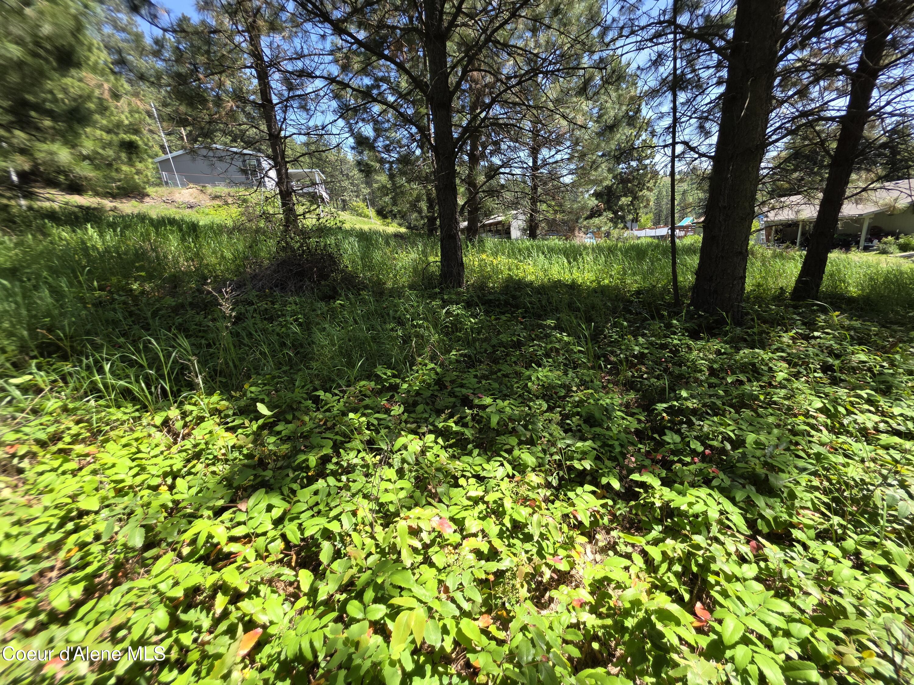 KNA Westview Dr, Harrison, Alaska image 12
