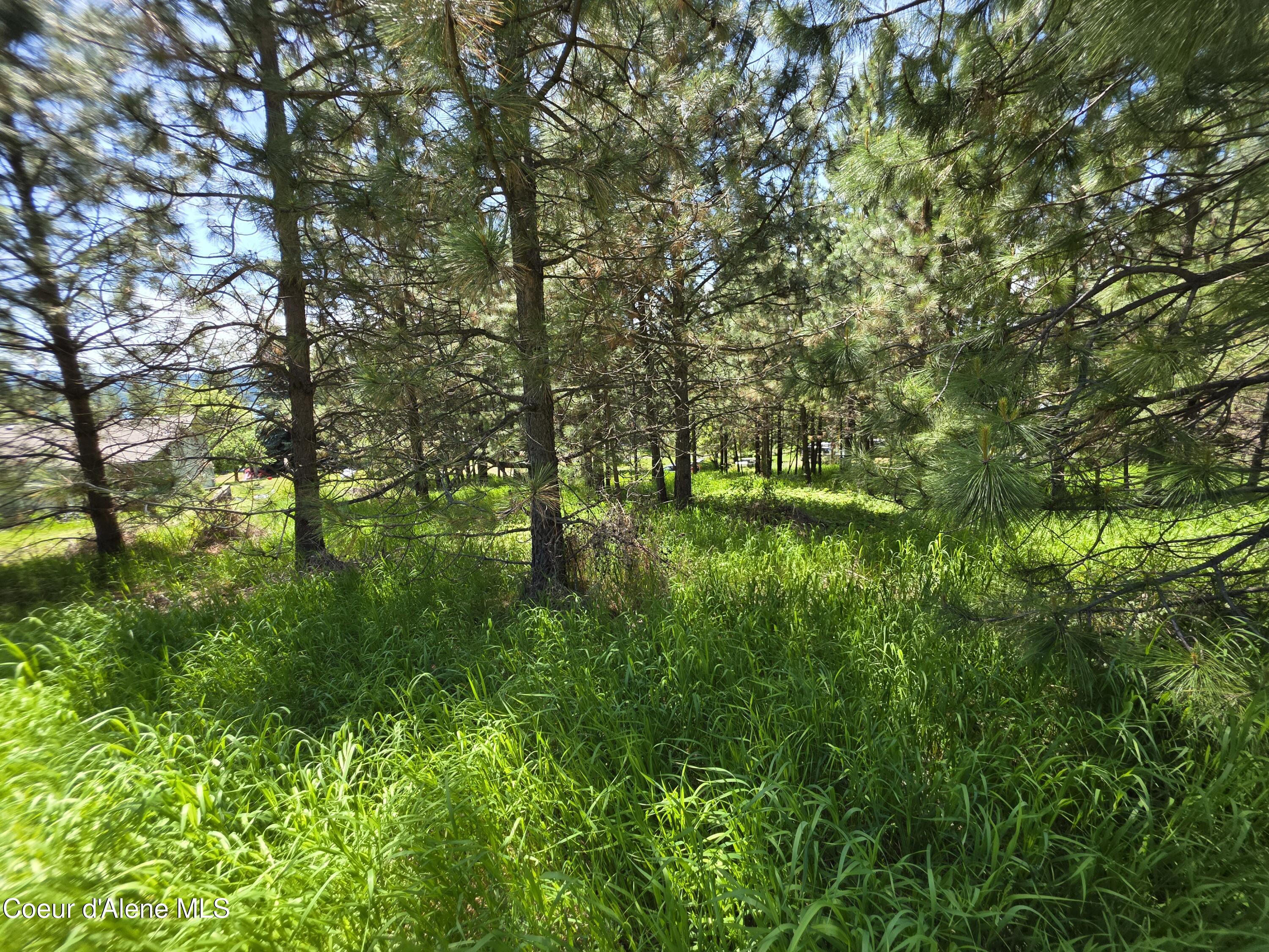 KNA Westview Dr, Harrison, Alaska image 7