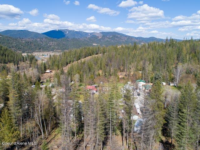 106 Blazing Saddle Ct, Pinehurst, Idaho image 11