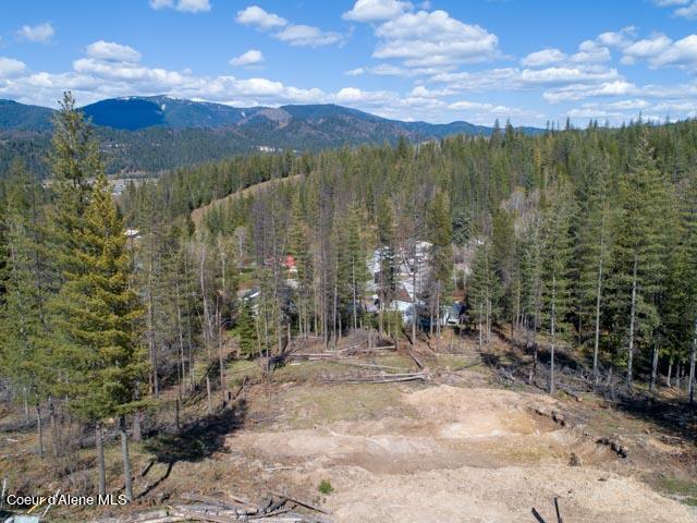 106 Blazing Saddle Ct, Pinehurst, Idaho image 12