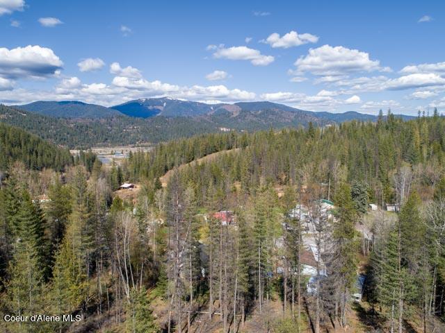 106 Blazing Saddle Ct, Pinehurst, Idaho image 6