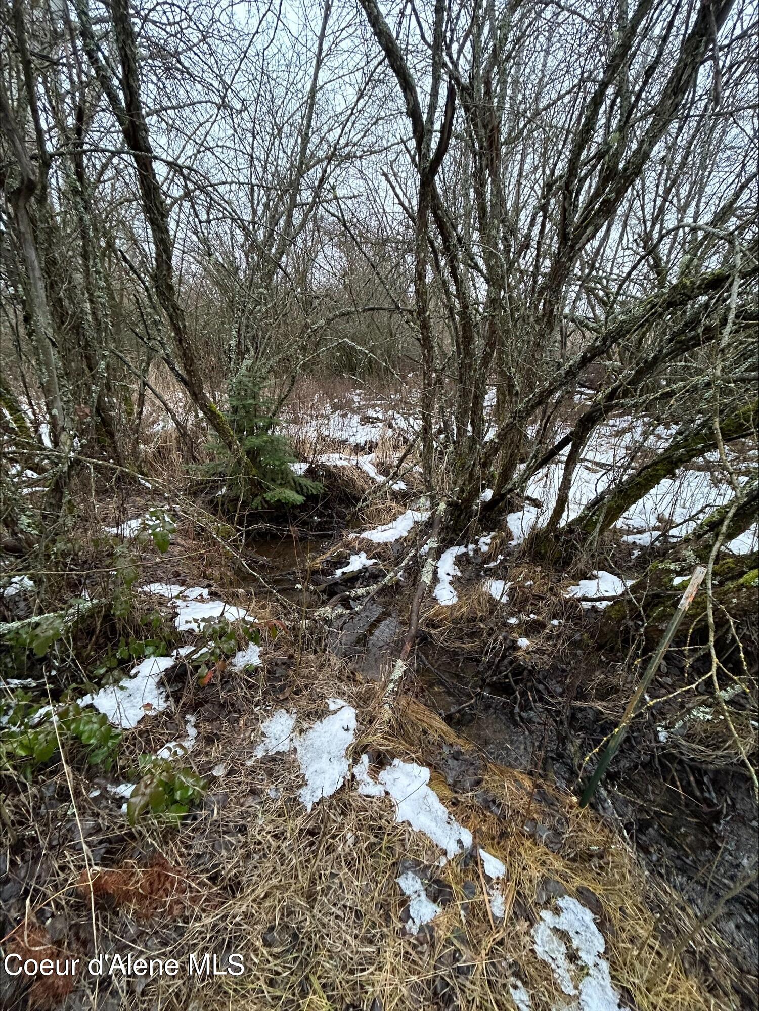 Coeur d'Alene, Idaho 83814, United States, ,Land,Pending,76832