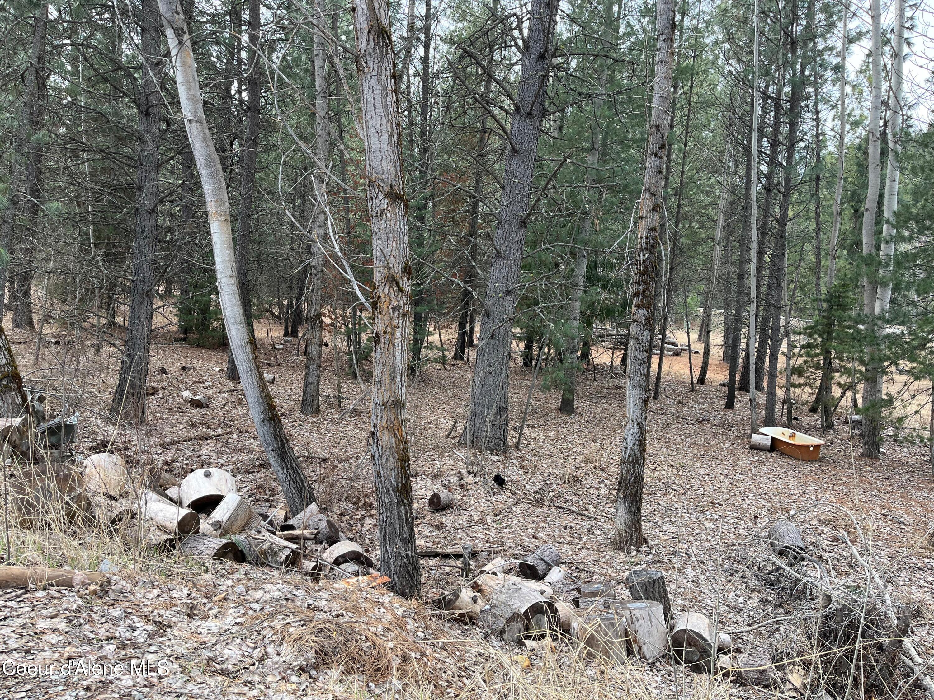 36066 Canyon Drive, Cataldo, Idaho image 9