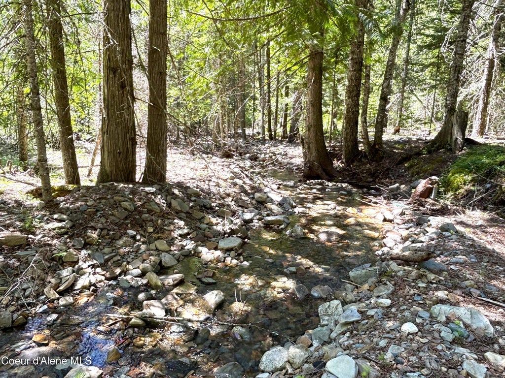 Photo of 2216 Mosquito Creek Rd Rd, Clark Fork, ID 83811 (MLS # 26-6166)