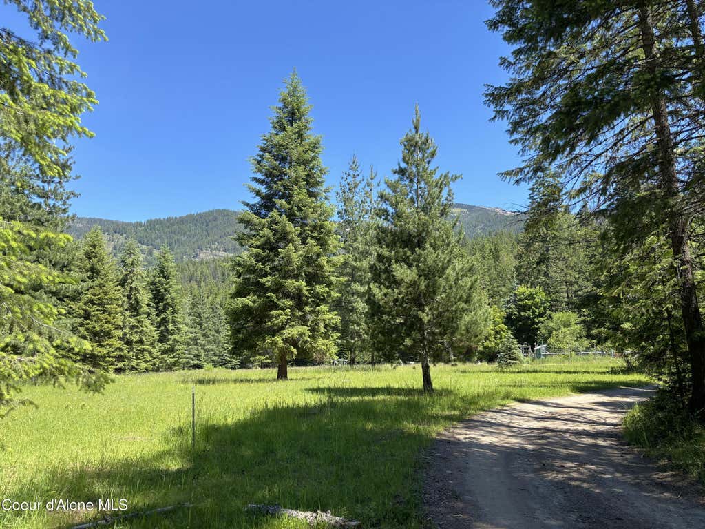 Photo of 2216 Mosquito Creek Rd Rd, Clark Fork, ID 83811 (MLS # 26-6166)