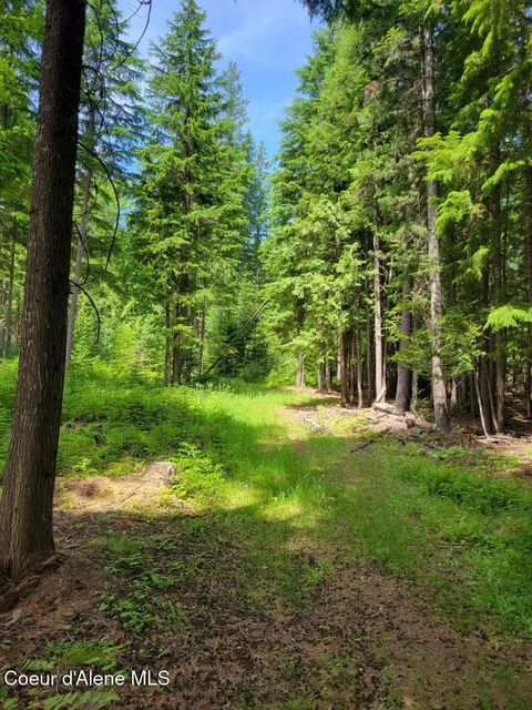 Vacant Land For Sale - NNA 17 Christmas Lane Lane<br/> Naples, ID 83847