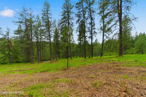 Vacant Land For Sale - PARCEL A Dunlap<br/> Harrison, ID 83833