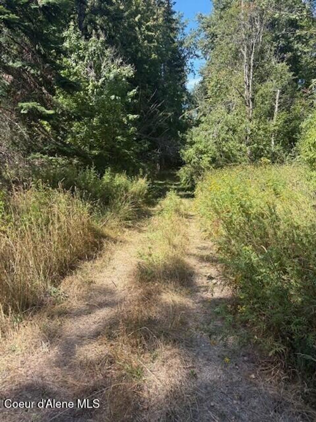 Photo of 108 Kamloop Ave, Bayview, ID 83803 (MLS # 25-8667)