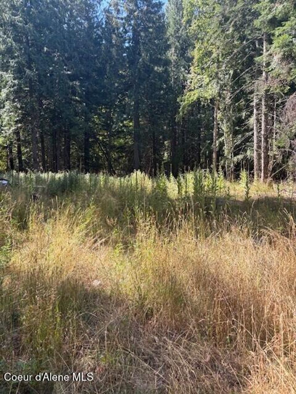 Photo of 108 Kamloop Ave, Bayview, ID 83803 (MLS # 25-8667)