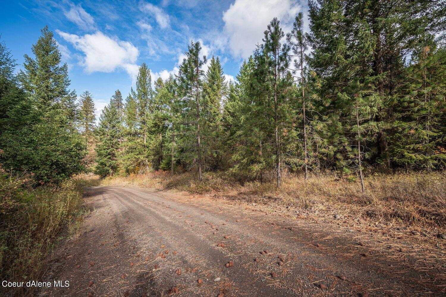 NNA Becky Lane, Worley, Idaho image 9