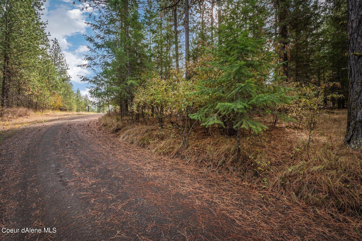 NNA Becky Lane, Worley, Idaho image 14