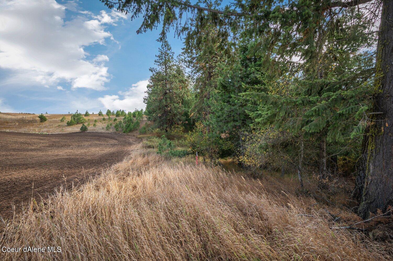 NNA Becky Lane, Worley, Idaho image 20