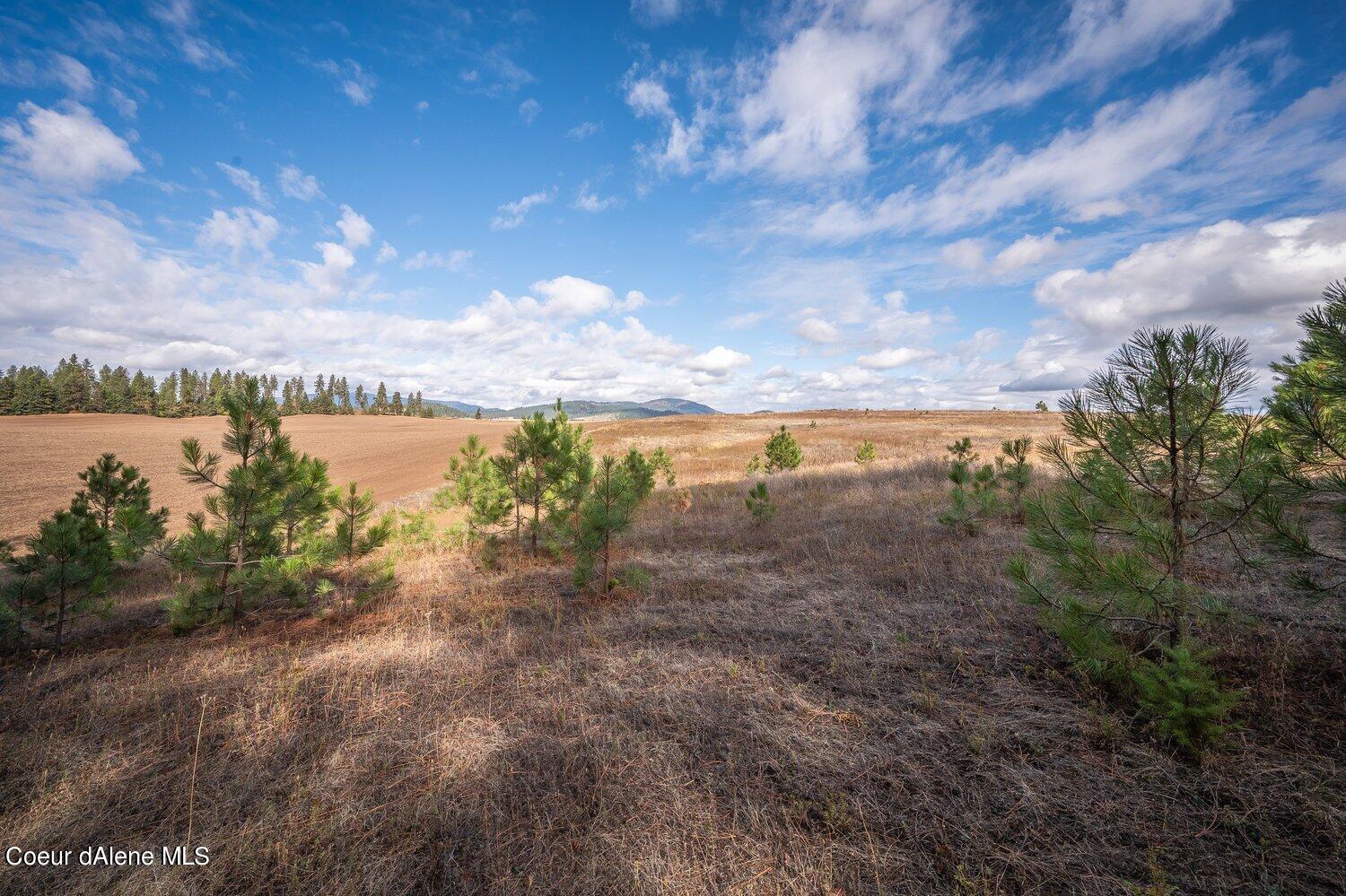 NNA Becky Lane, Worley, Idaho image 2