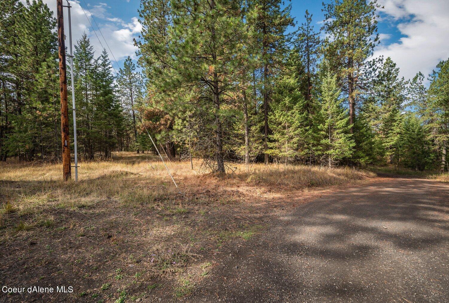 NNA Becky Lane, Worley, Idaho image 12