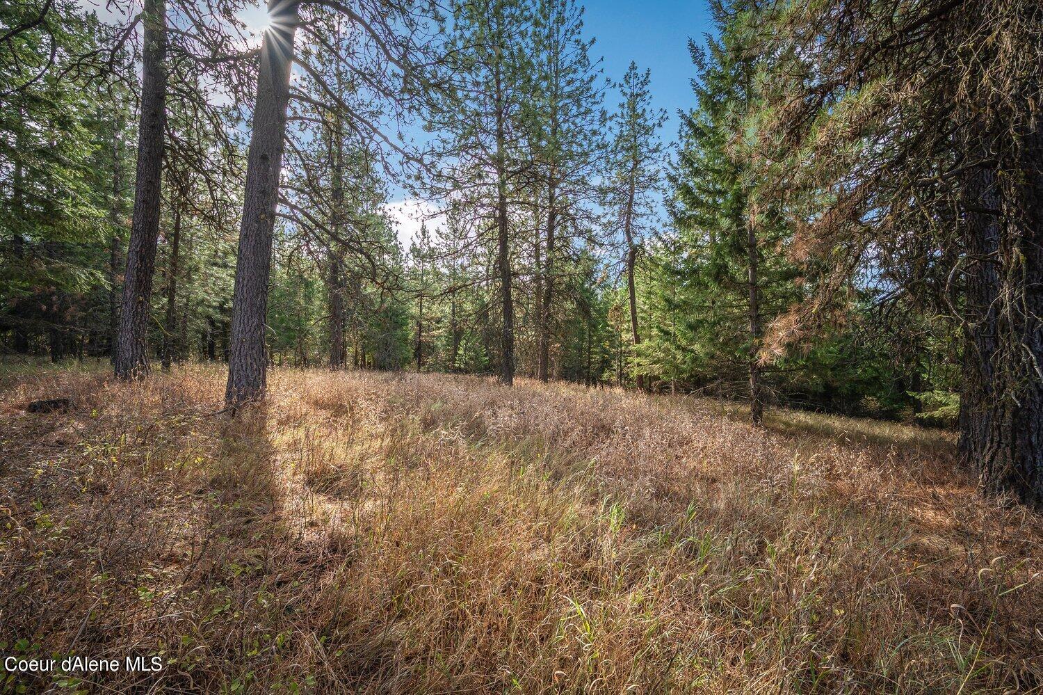 NNA Becky Lane, Worley, Idaho image 1