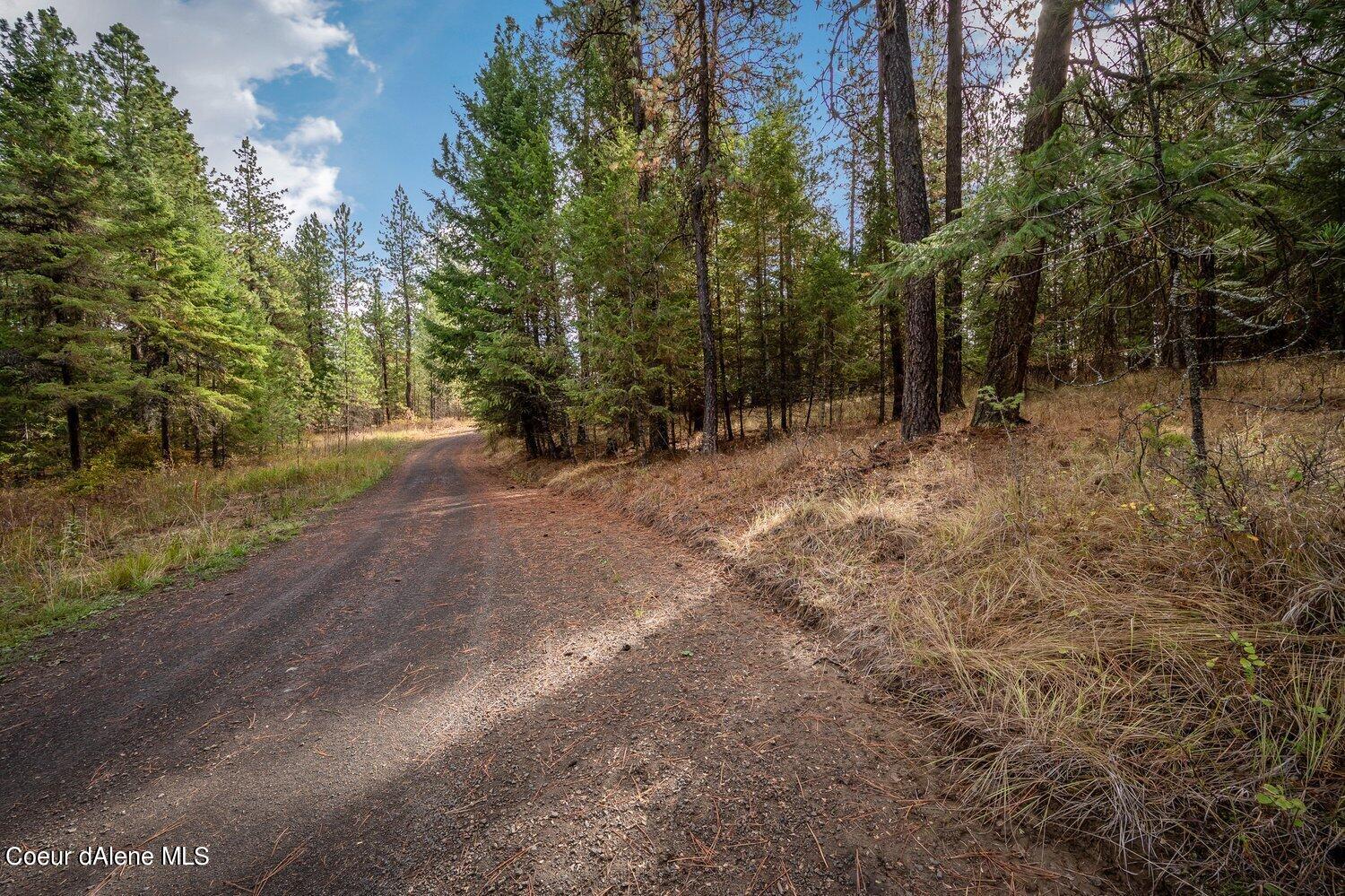 NNA Becky Lane, Worley, Idaho image 15