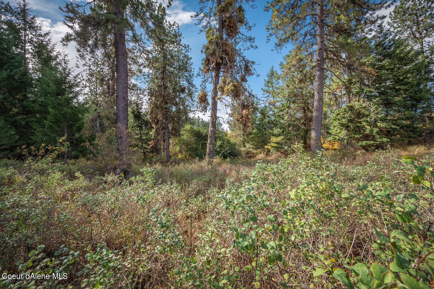 NNA Becky Lane, Worley, Idaho image 23