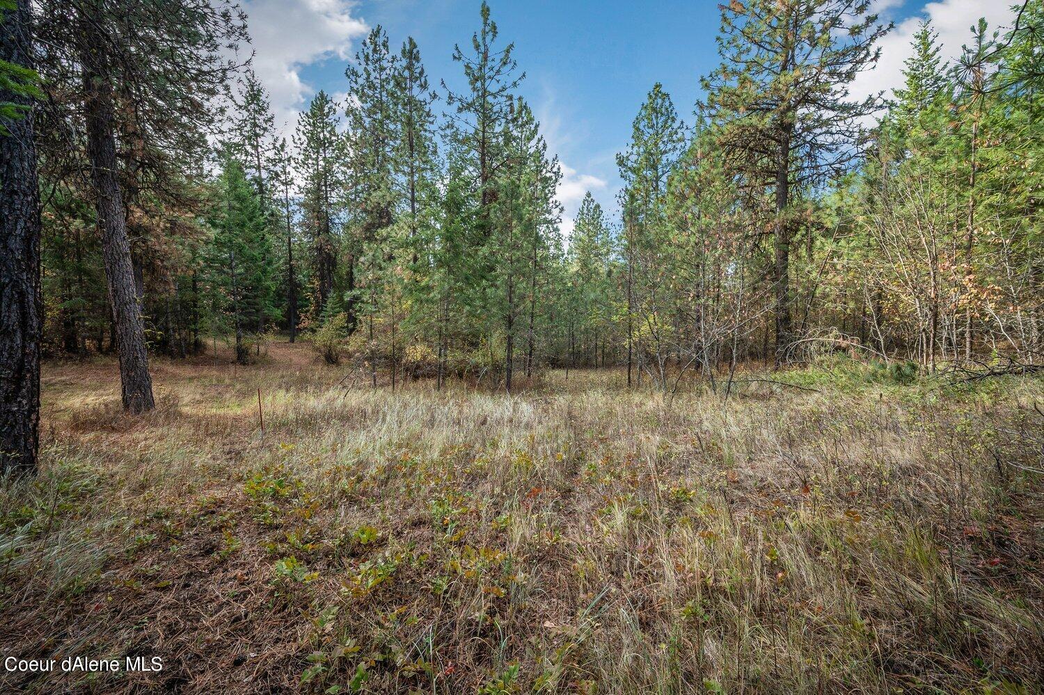 NNA Becky Lane, Worley, Idaho image 4