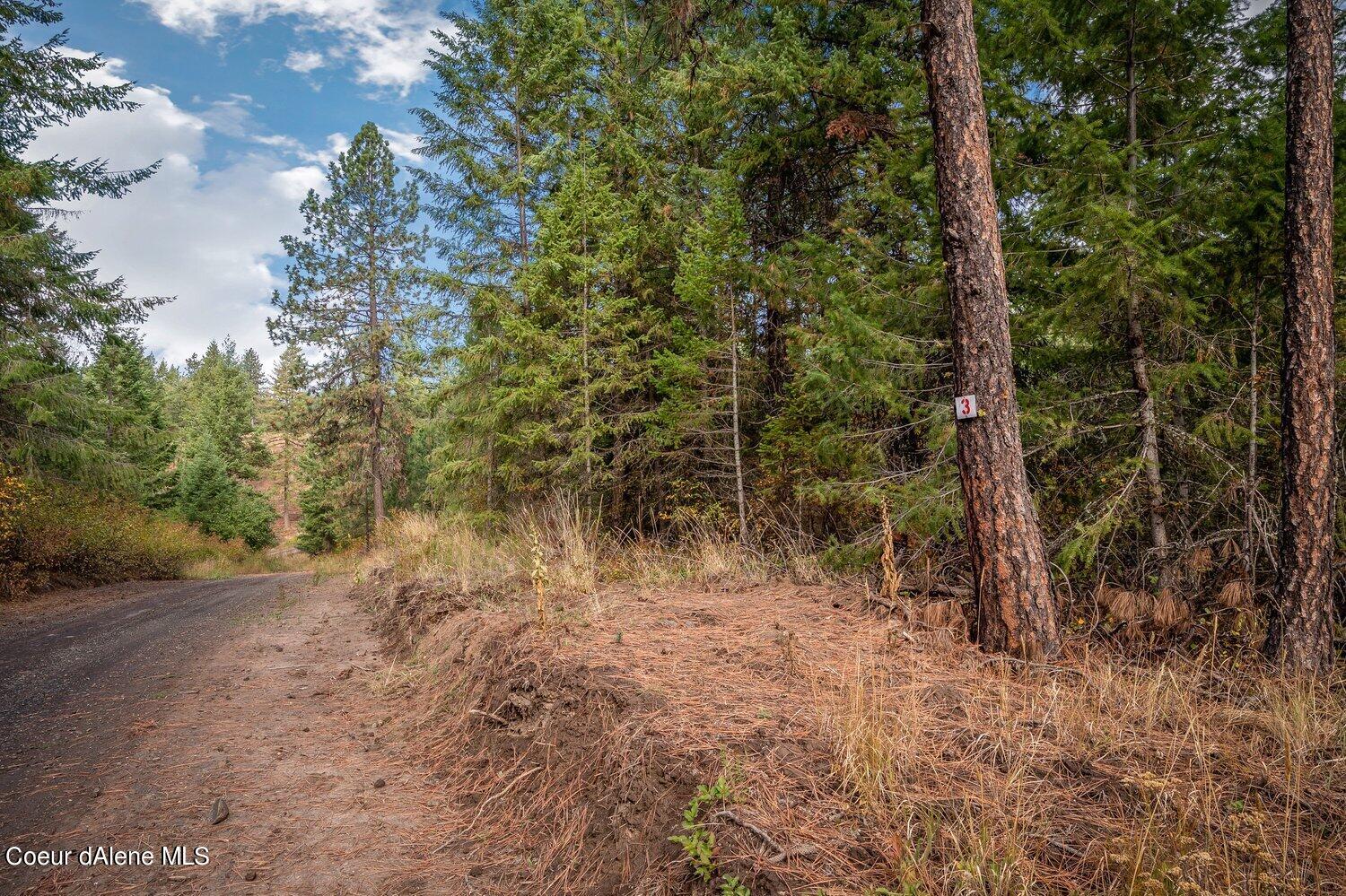 NNA Becky Lane, Worley, Idaho image 17