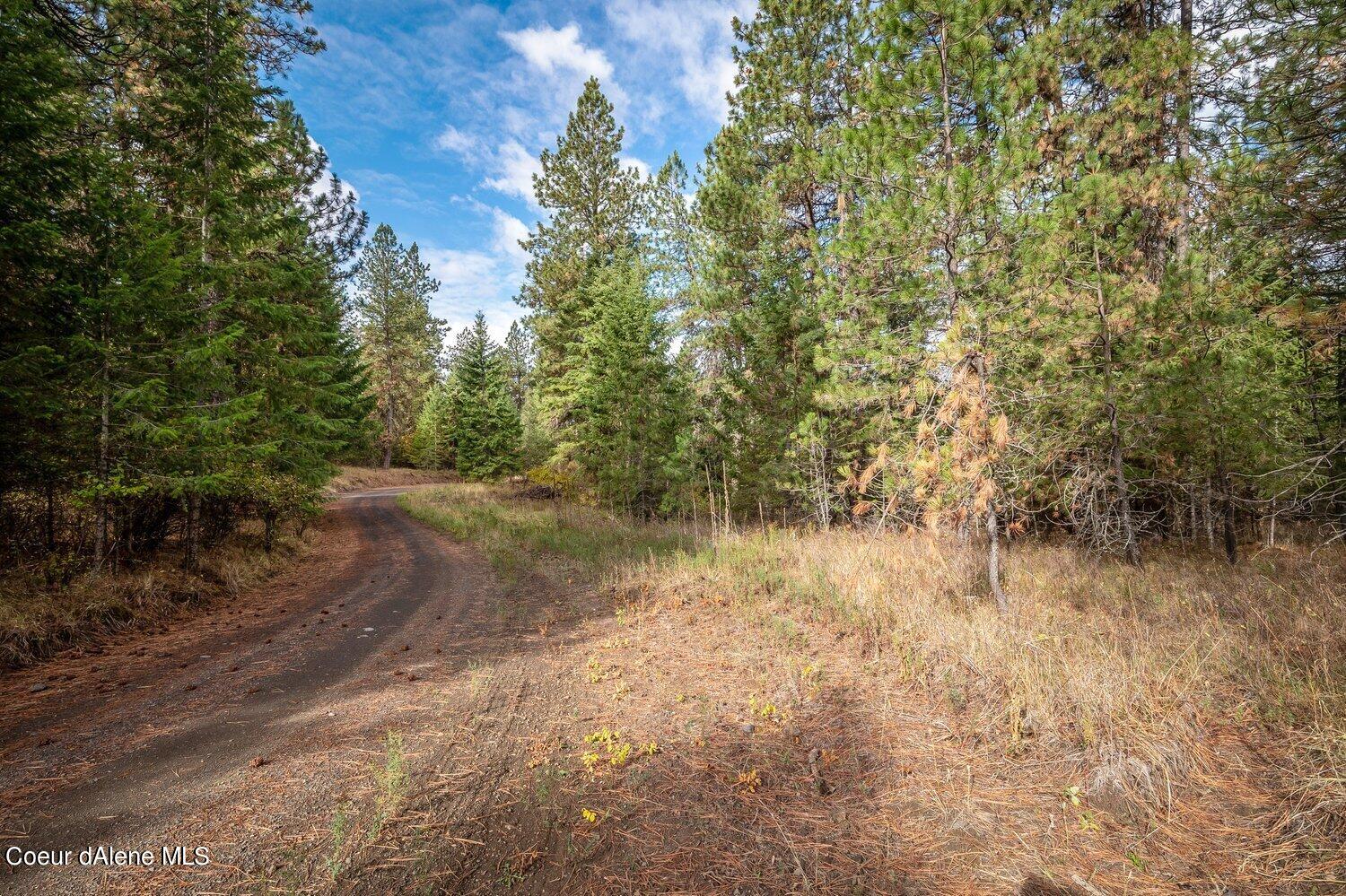 NNA Becky Lane, Worley, Idaho image 13