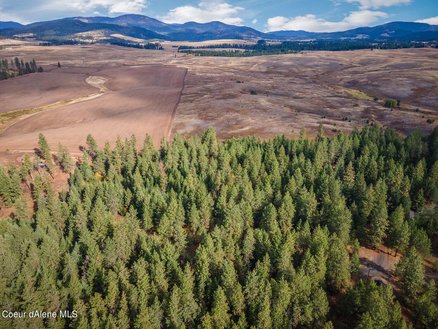 NNA Becky Lane, Worley, Idaho image 38