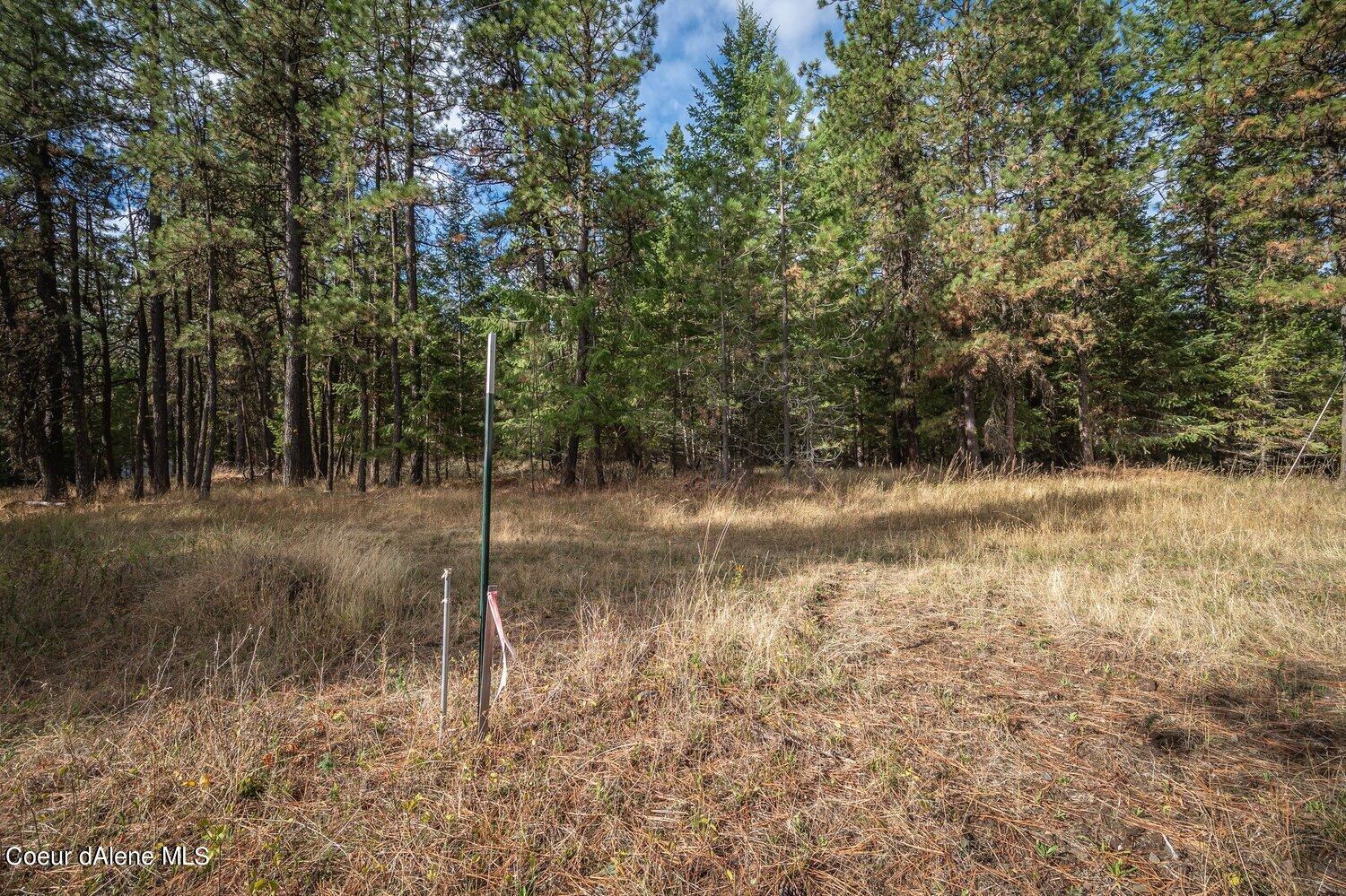 NNA Becky Lane, Worley, Idaho image 11