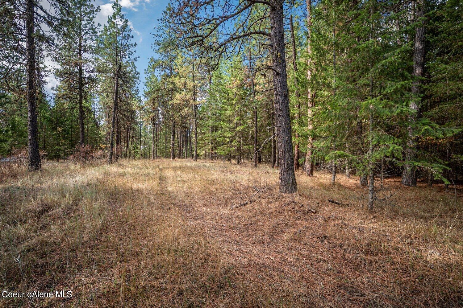 NNA Becky Lane, Worley, Idaho image 3