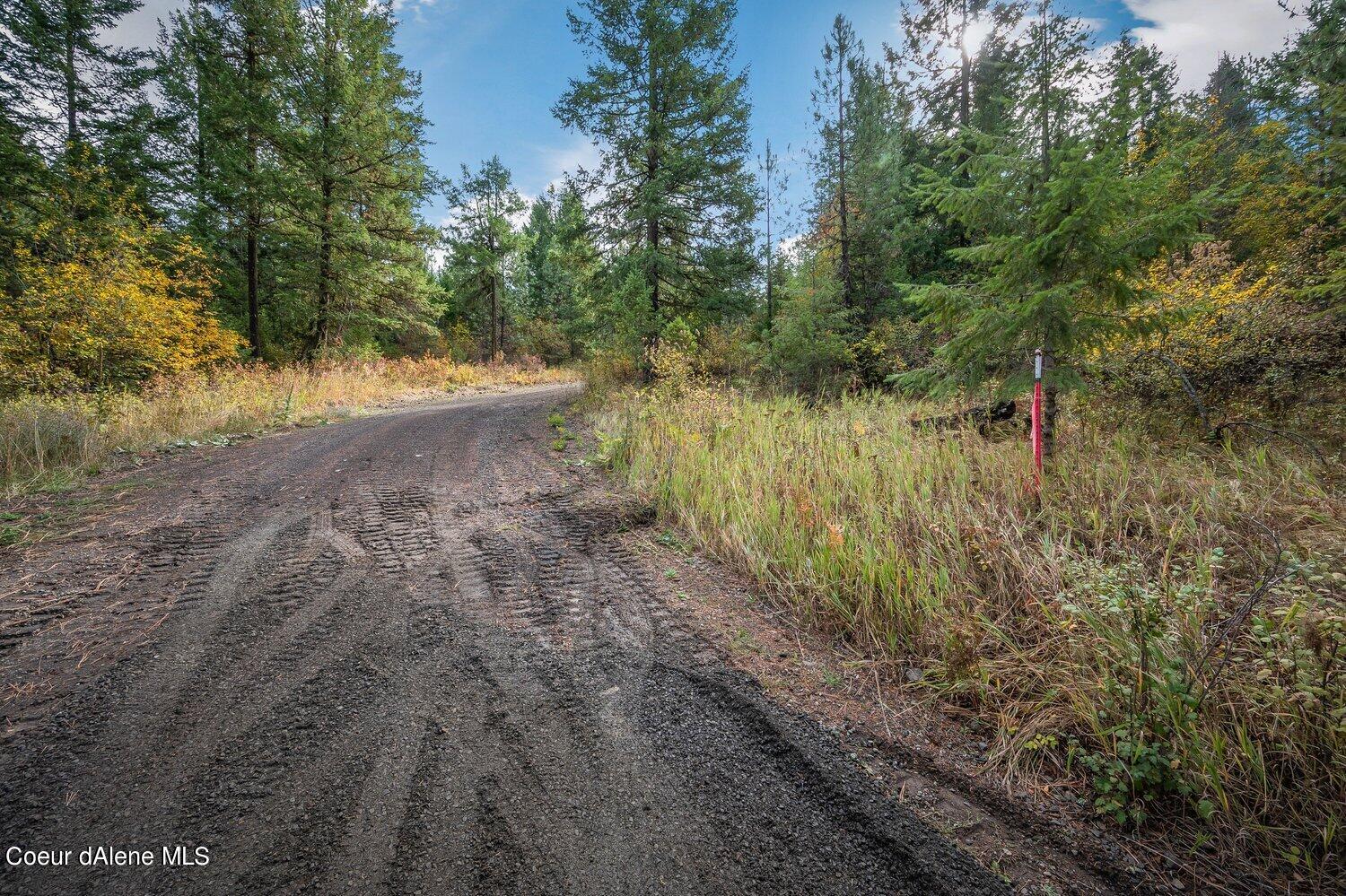 NNA Becky Lane, Worley, Idaho image 18