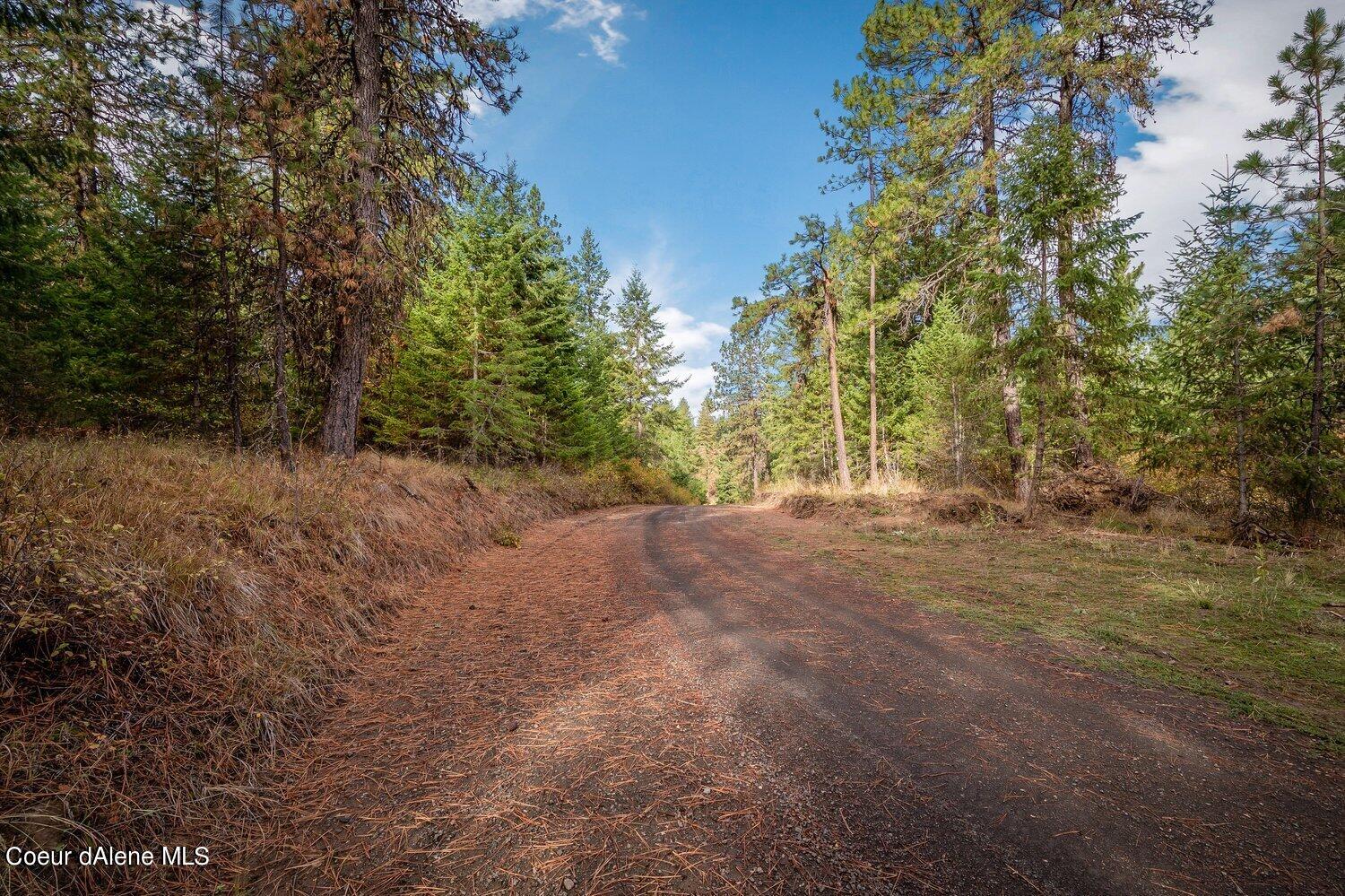 NNA Becky Lane, Worley, Idaho image 16