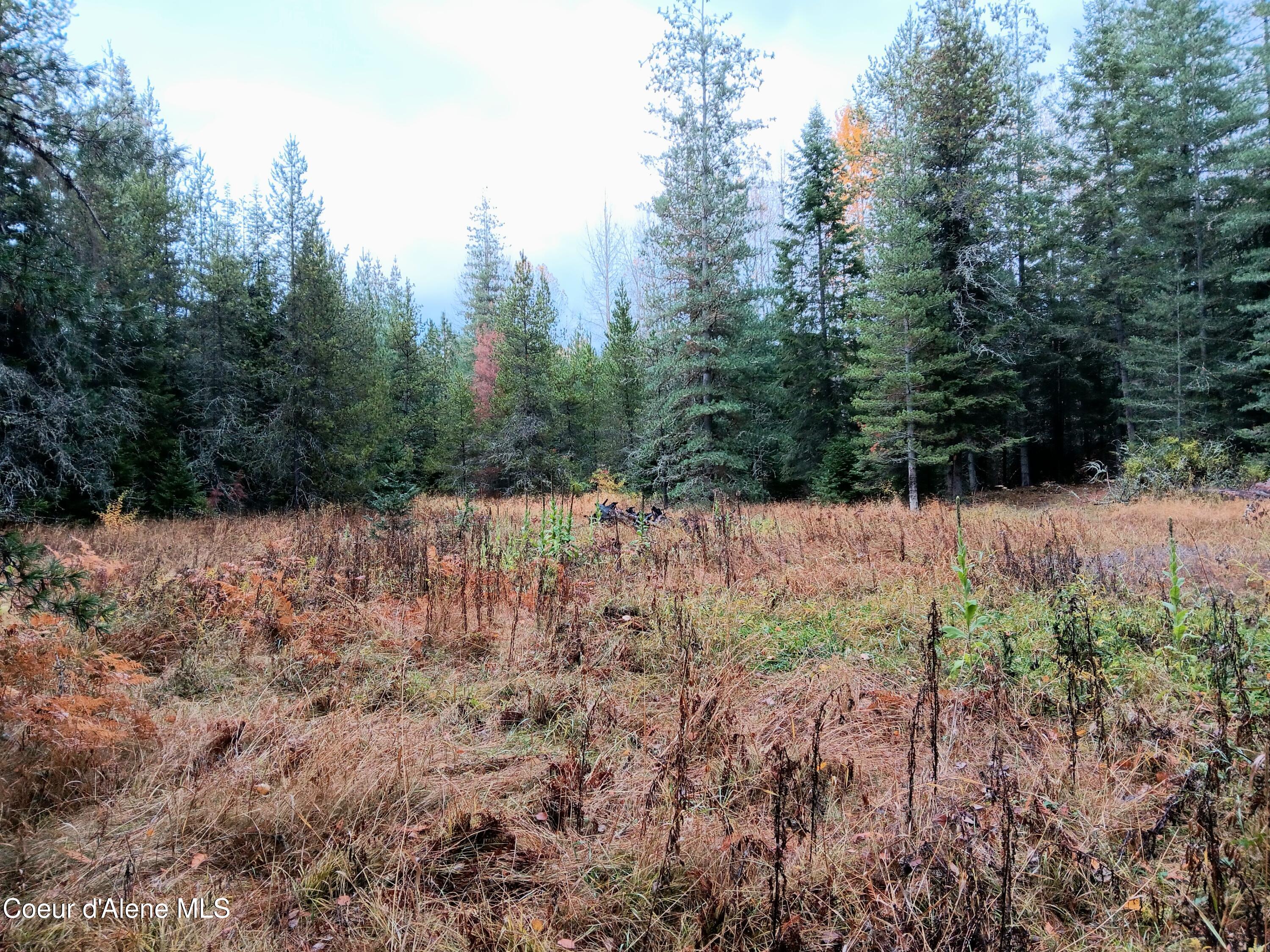 NNA Green Bay Rd - Lot 2, Sagle, Idaho image 8