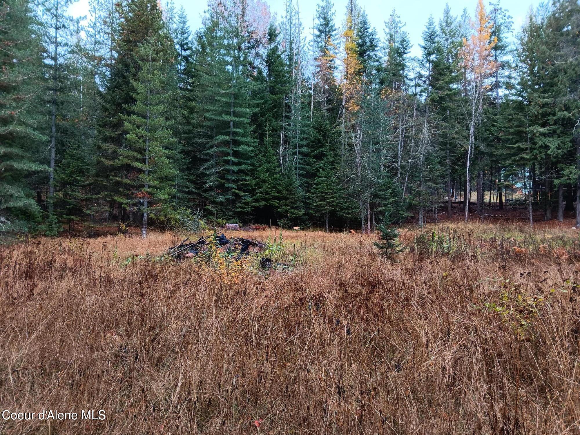 NNA Green Bay Rd - Lot 2, Sagle, Idaho image 12