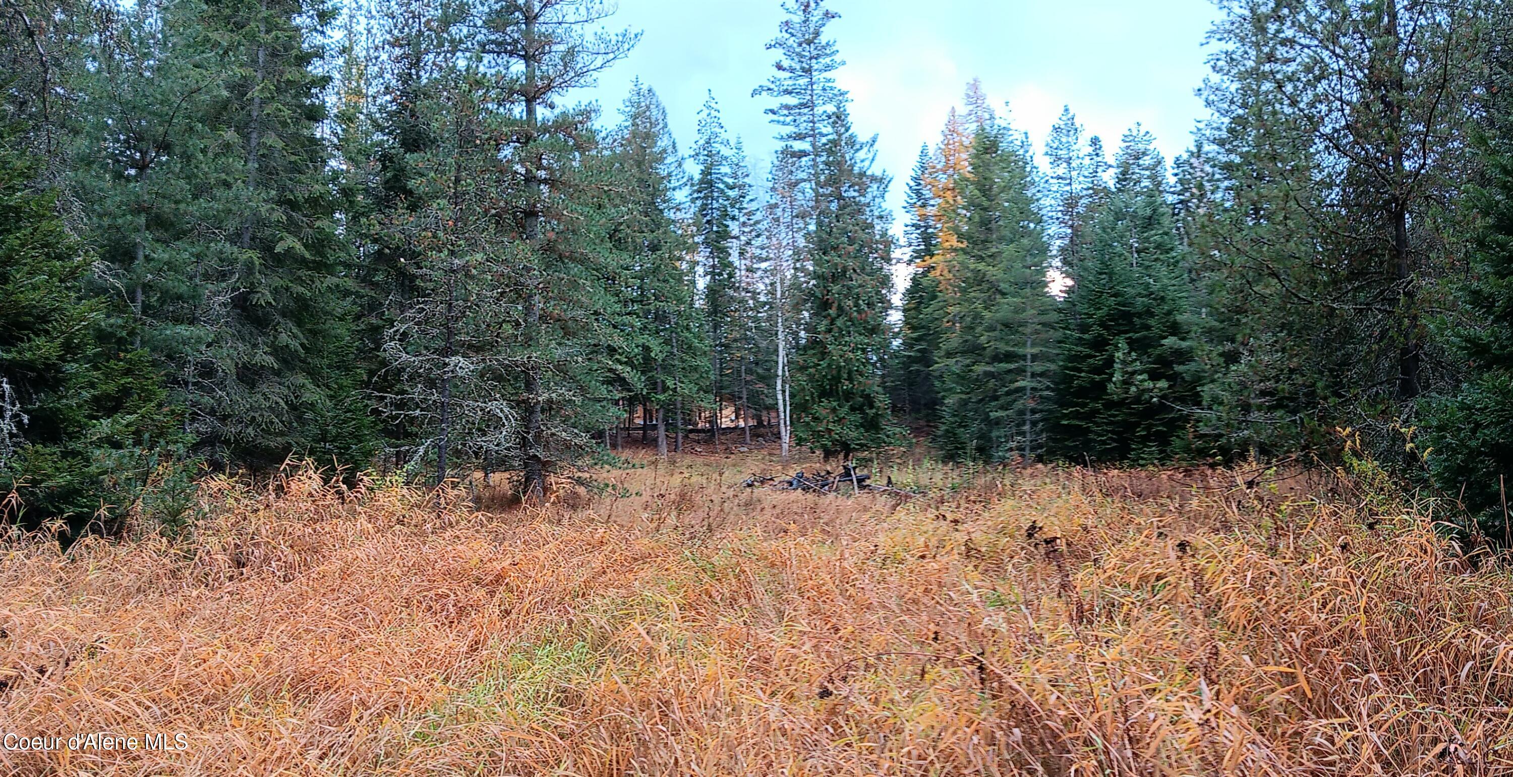 NNA Green Bay Rd - Lot 2, Sagle, Idaho image 14