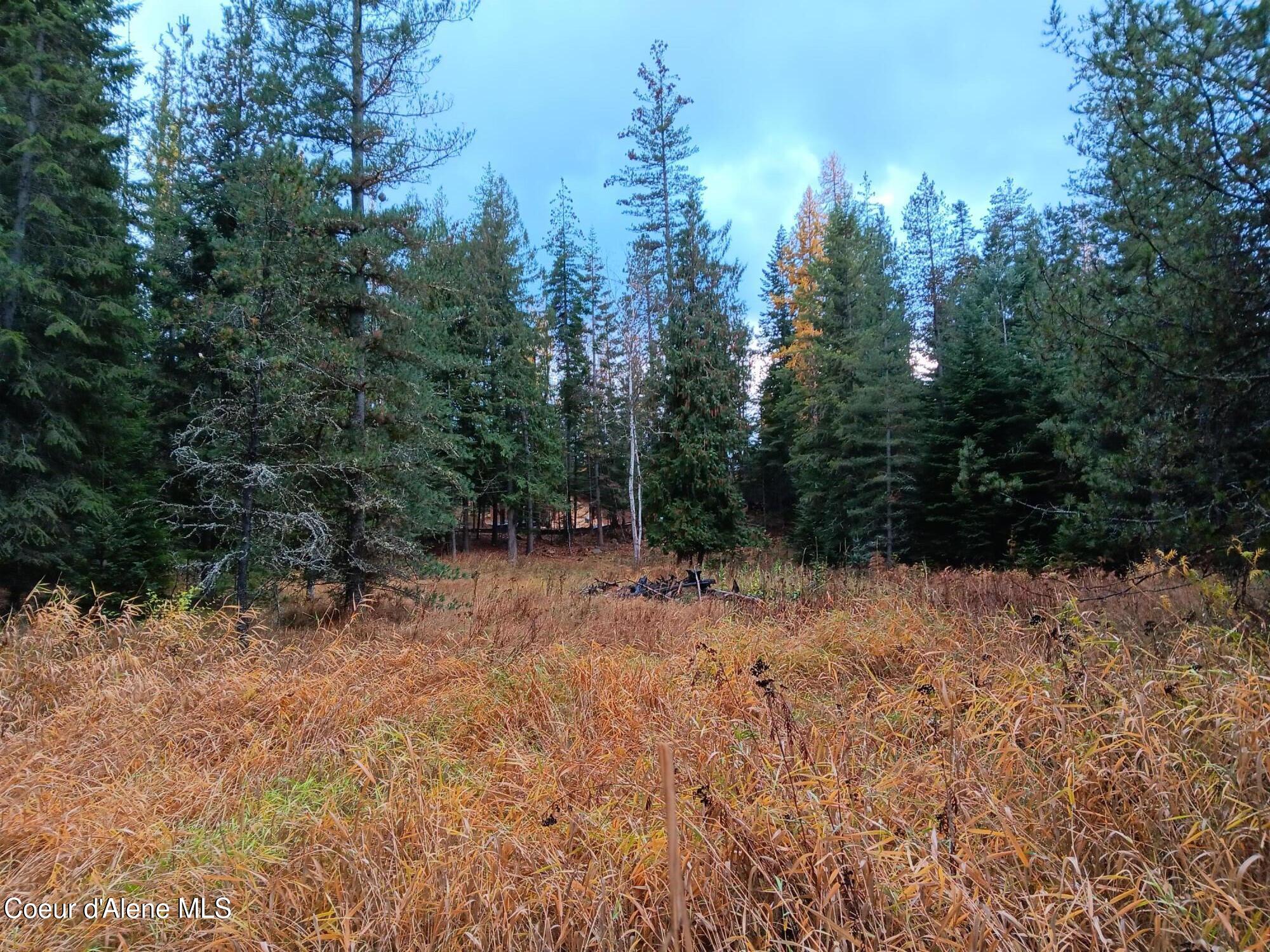 NNA Green Bay Rd - Lot 2, Sagle, Idaho image 13