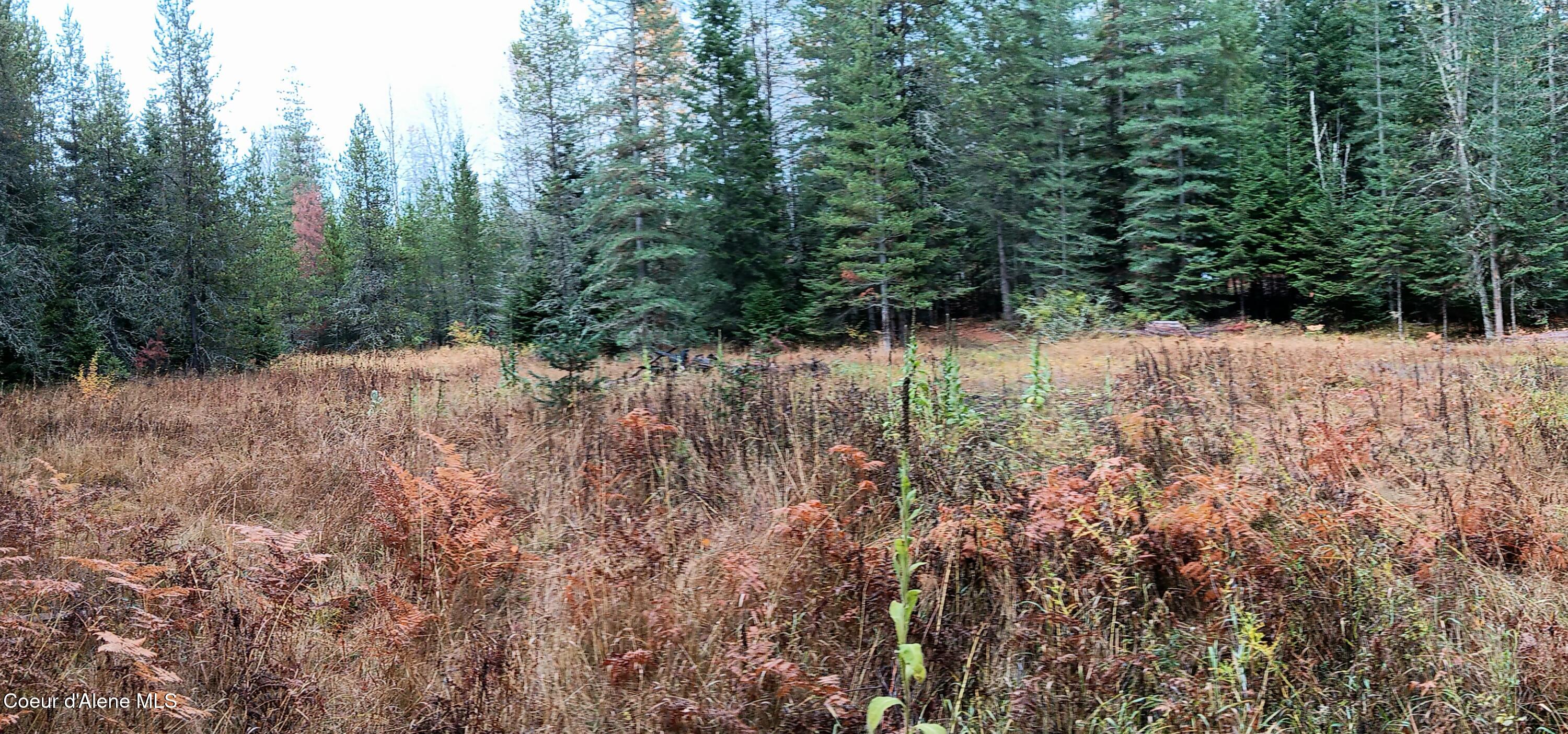 NNA Green Bay Rd - Lot 2, Sagle, Idaho image 9