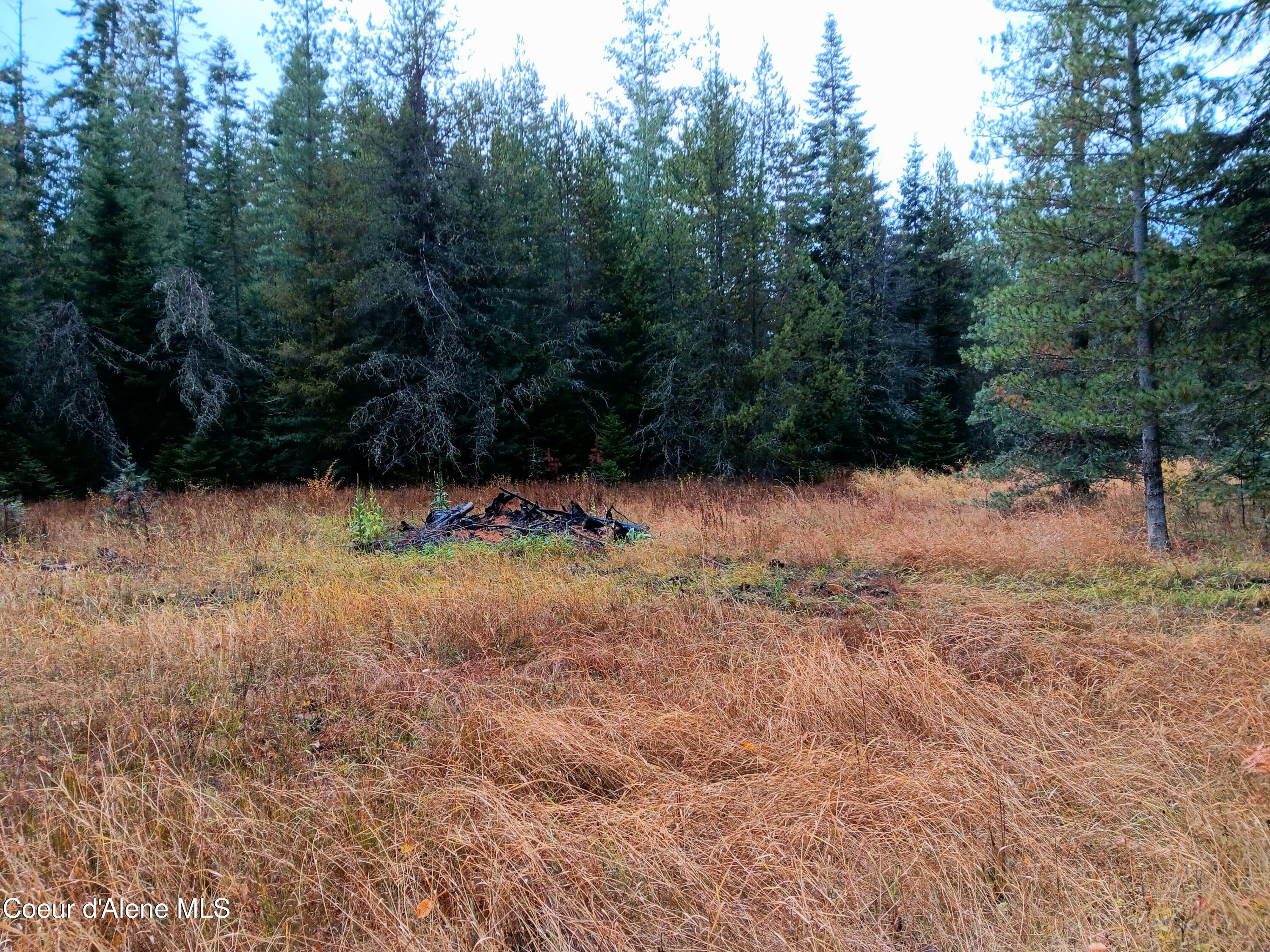 NNA Green Bay Rd - Lot 2, Sagle, Idaho image 7