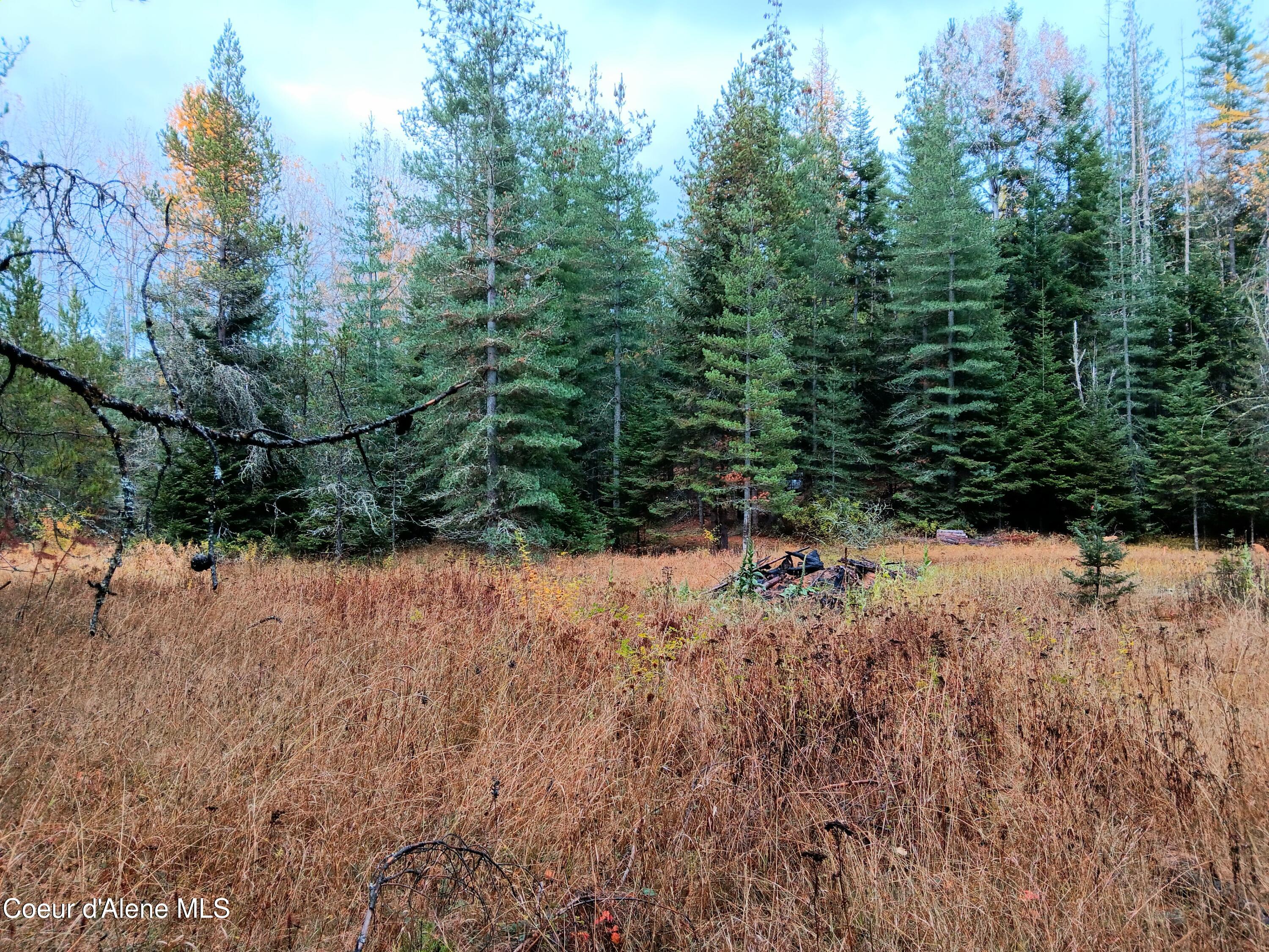 NNA Green Bay Rd - Lot 2, Sagle, Idaho image 11