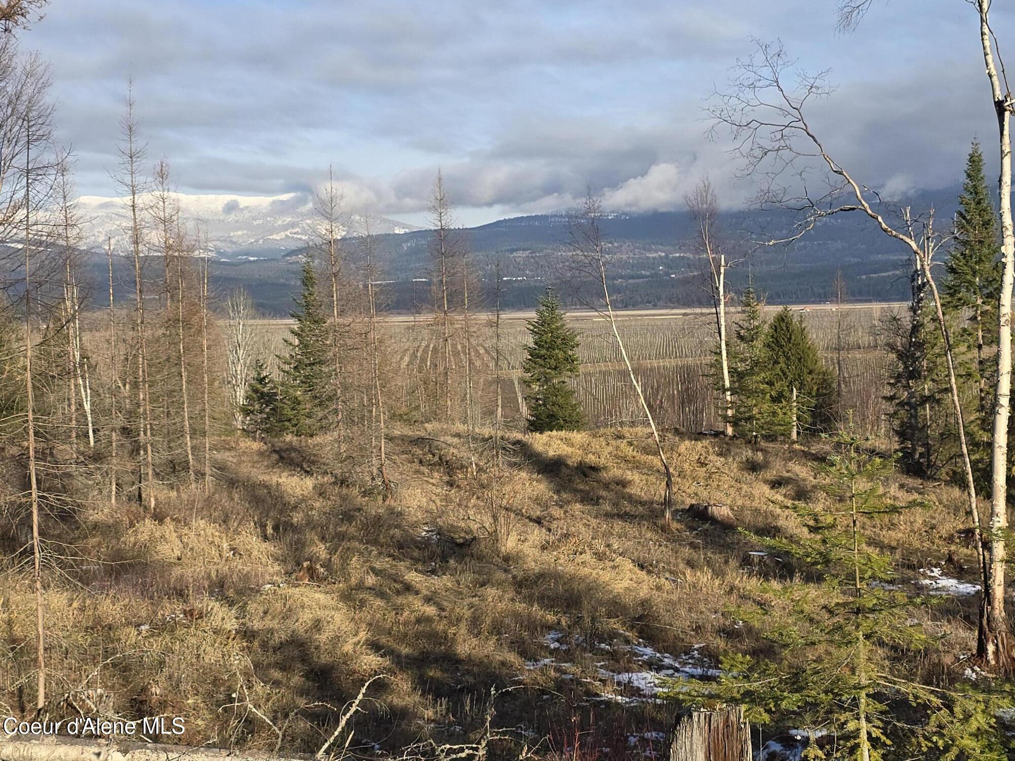 NNA West Side Rd Parcel 3, Bonners Ferry, Idaho image 1