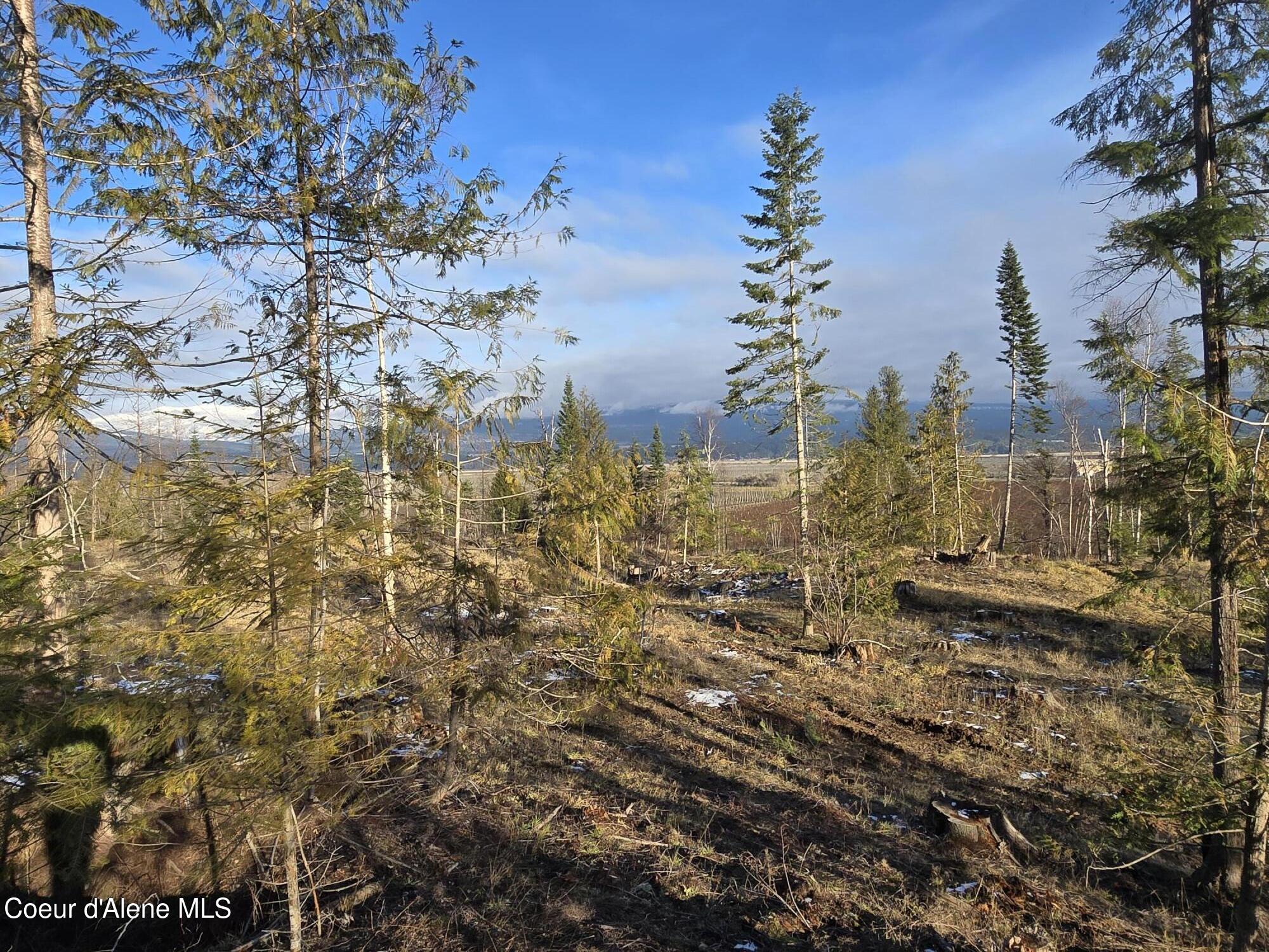 NNA West Side Rd Parcel 3, Bonners Ferry, Idaho image 3