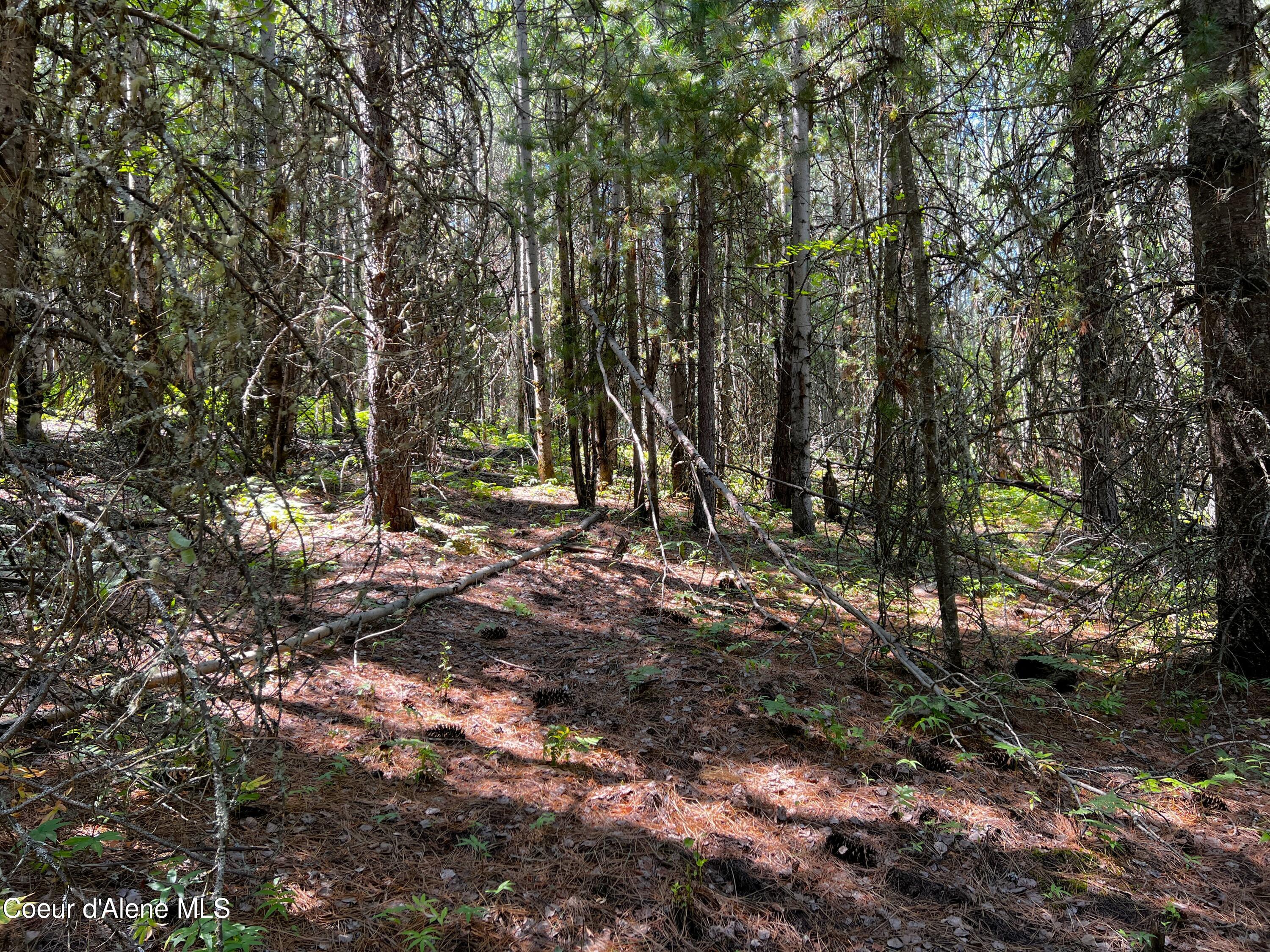 1 Acre Alhambra Ave, Kellogg, Idaho image 6