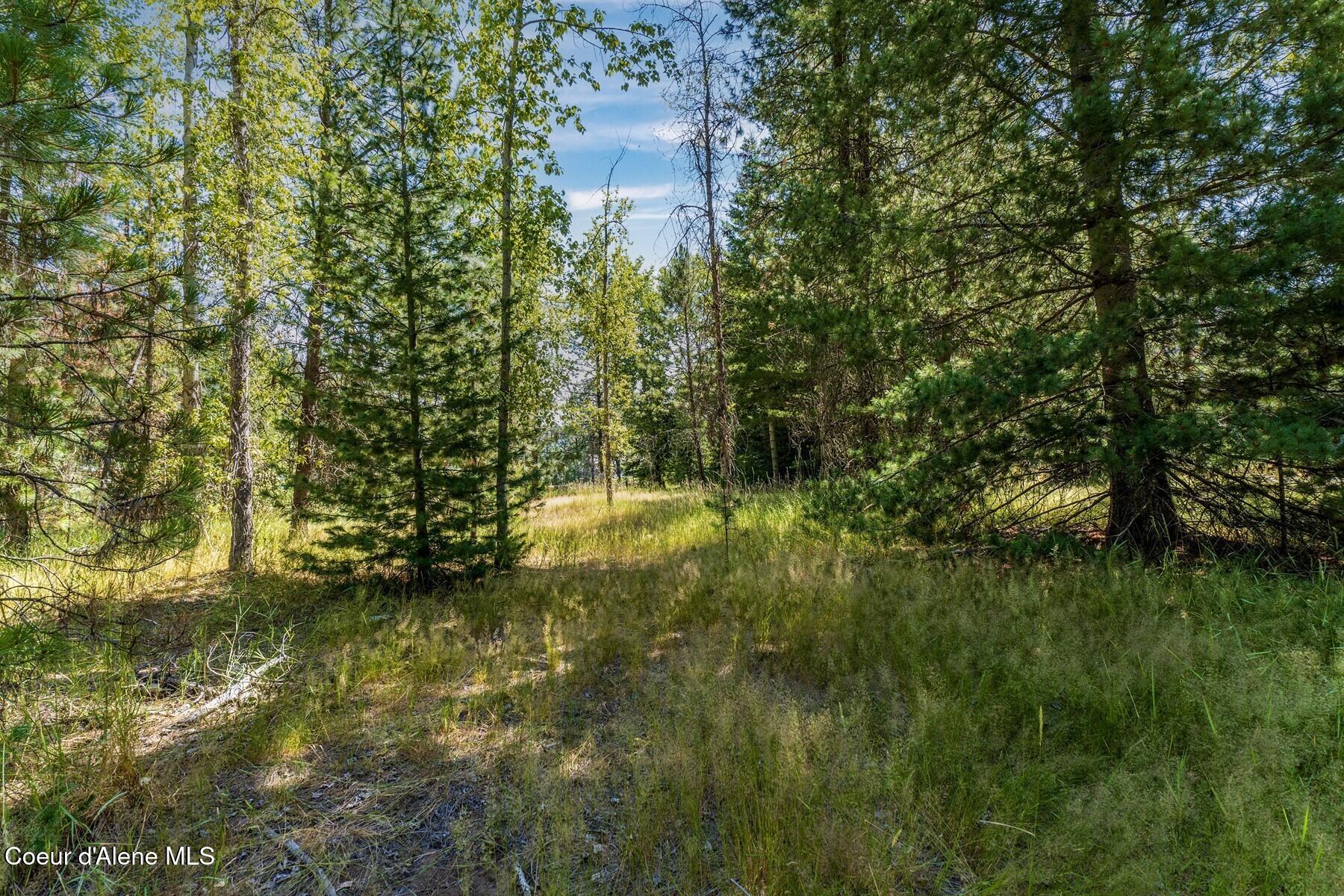 NKA Coeur Dalene River Rd, Kingston, Alaska image 31