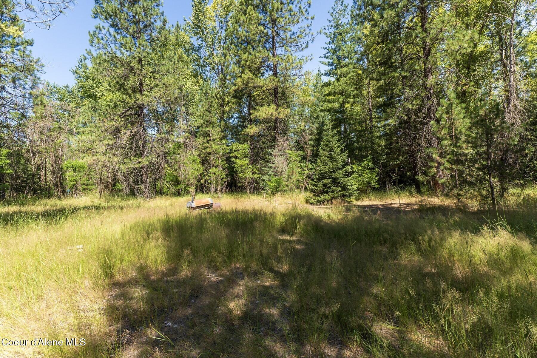 NKA Coeur Dalene River Rd, Kingston, Alaska image 34