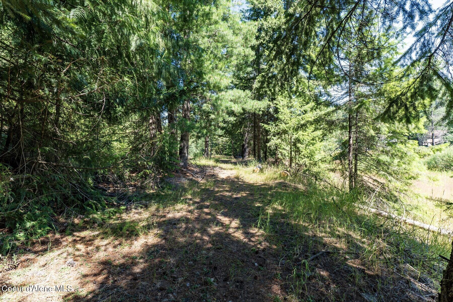 NKA Coeur Dalene River Rd, Kingston, Alaska image 41