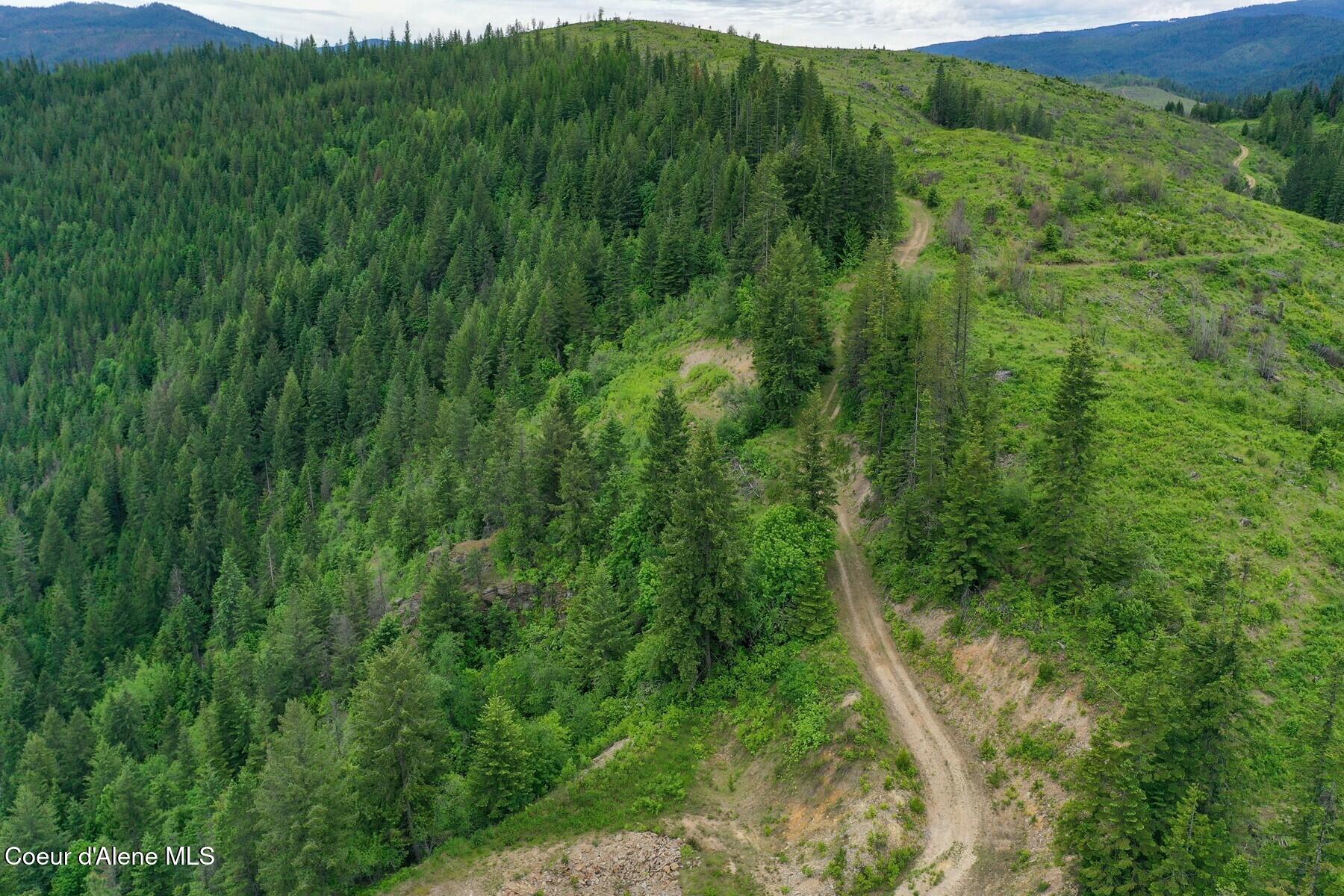 NKA Coeur Dalene River Rd, Kingston, Alaska image 24