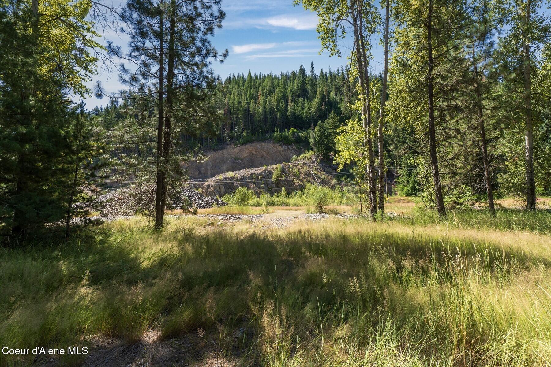 NKA Coeur Dalene River Rd, Kingston, Alaska image 32