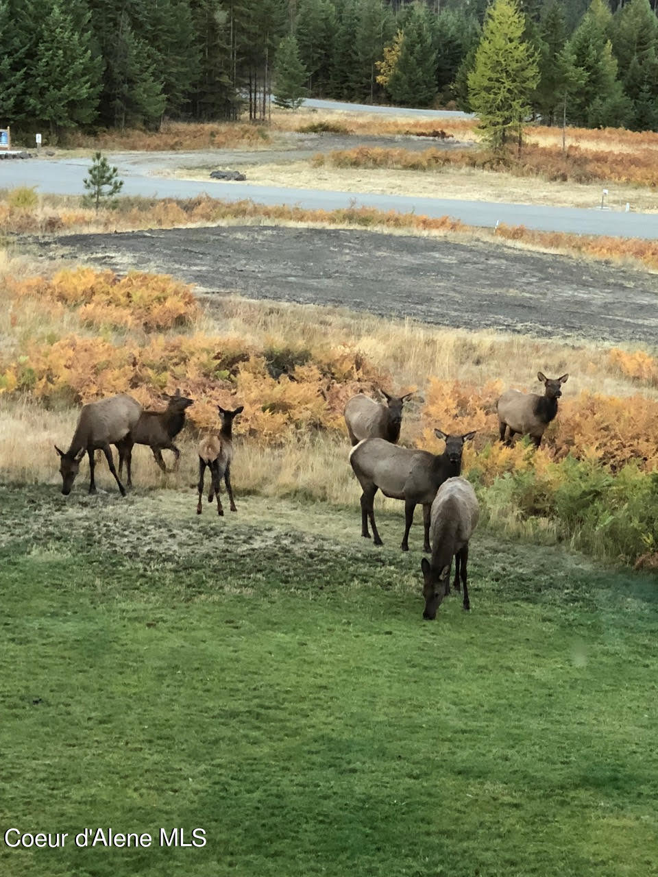 L2 B4 Kula Road, Harrison, Idaho image 3