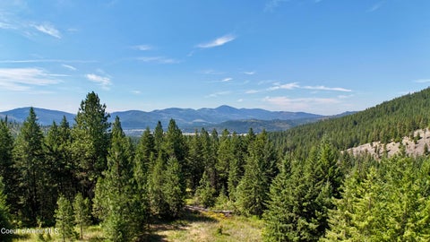 Vacant Land For Sale - 1710 Tower Mountain Mountain<br/> Blanchard, ID 83804