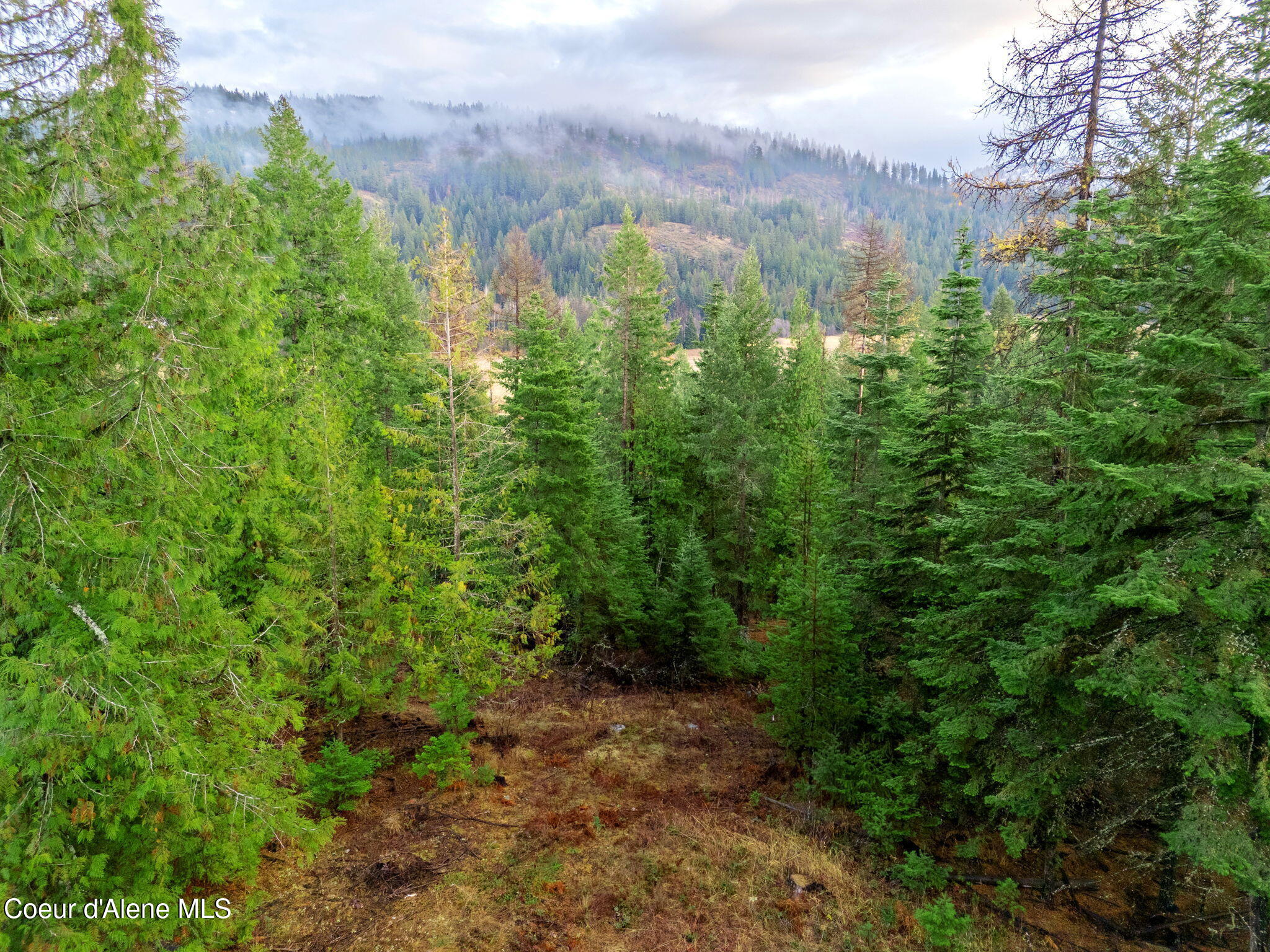 NNA Jewel Lake Road  - Parcel 2, Sagle, Idaho image 11