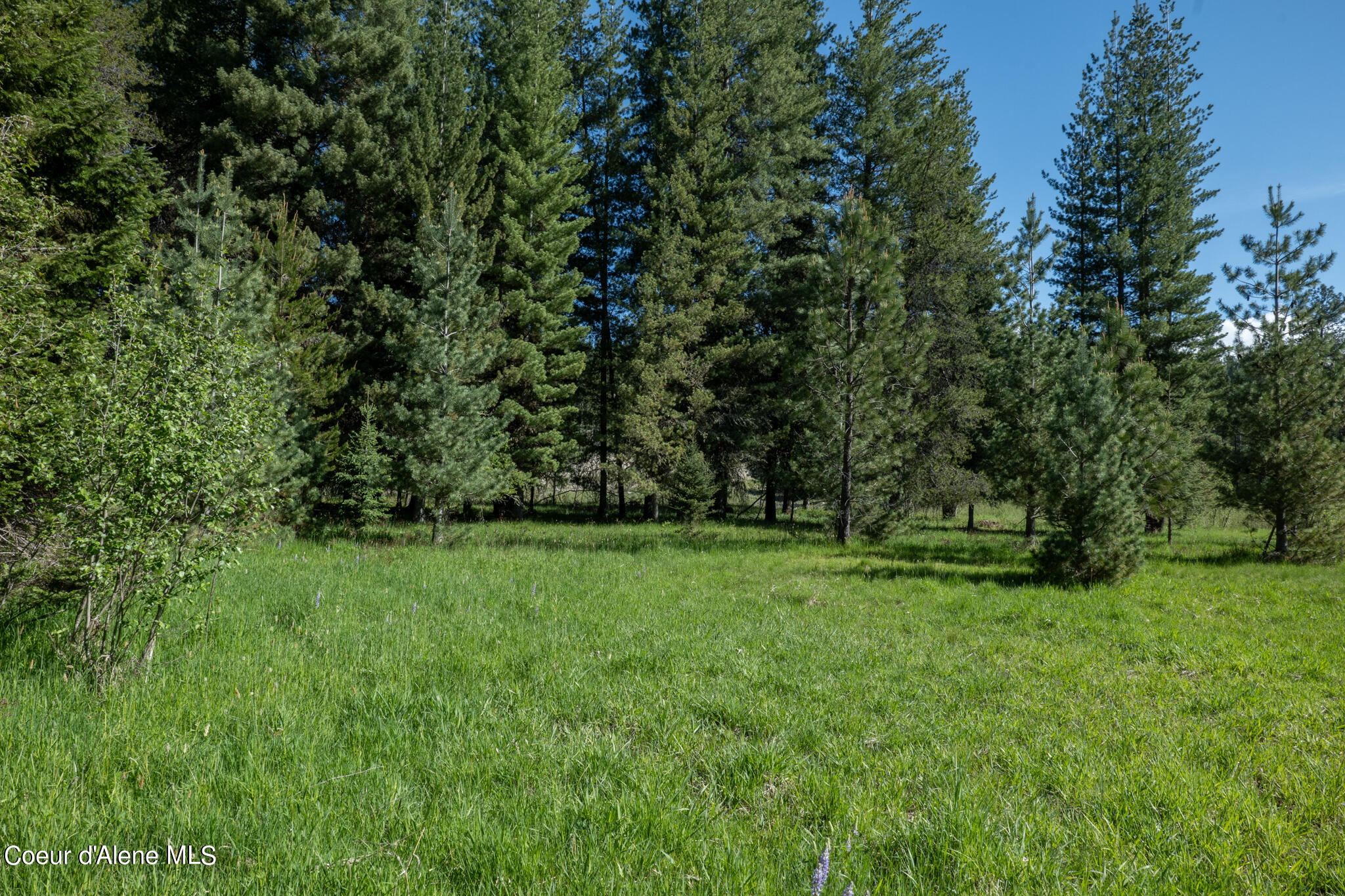 Parcel 3 Robinson Dr, Priest River, Idaho image 7