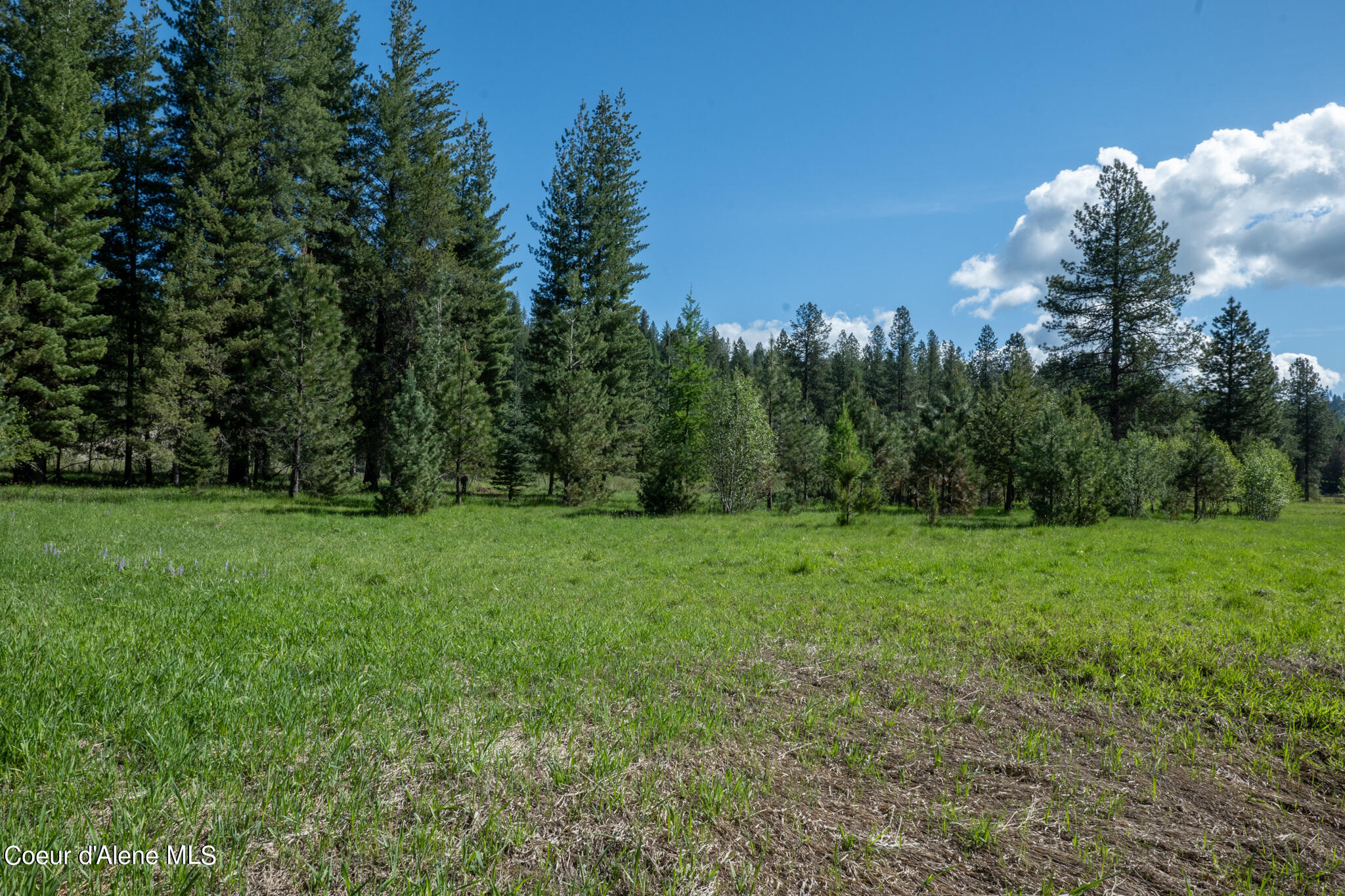 Parcel 3 Robinson Dr, Priest River, Idaho image 3