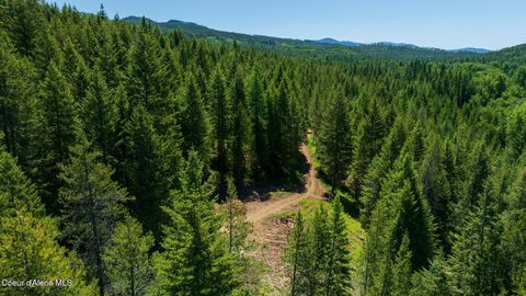 Vacant Land For Sale - TBD Kreiger Creek Rd. Rd<br/> Careywood, ID 83809